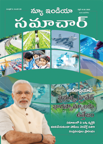 सार्वजनिक-निजी भागीदारी का सेतु