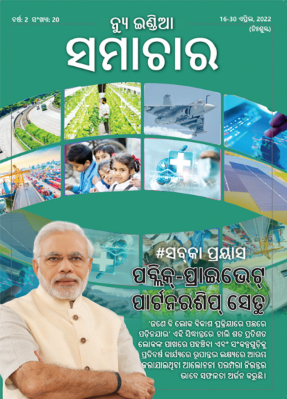 सार्वजनिक-निजी भागीदारी का सेतु