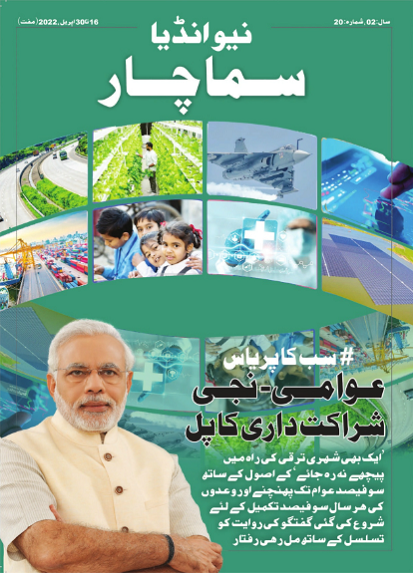 सार्वजनिक-निजी भागीदारी का सेतु