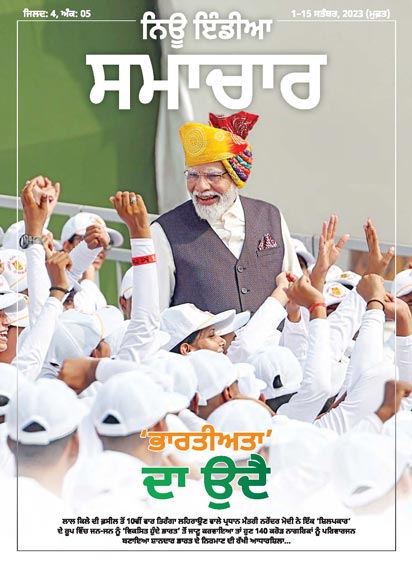 भारतीयता का उदय